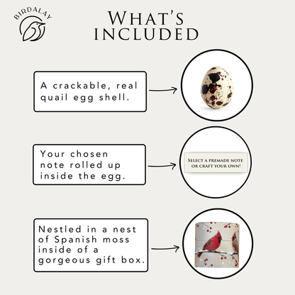 Product description card with a quail egg, Spanish moss, and gift box on a white background.