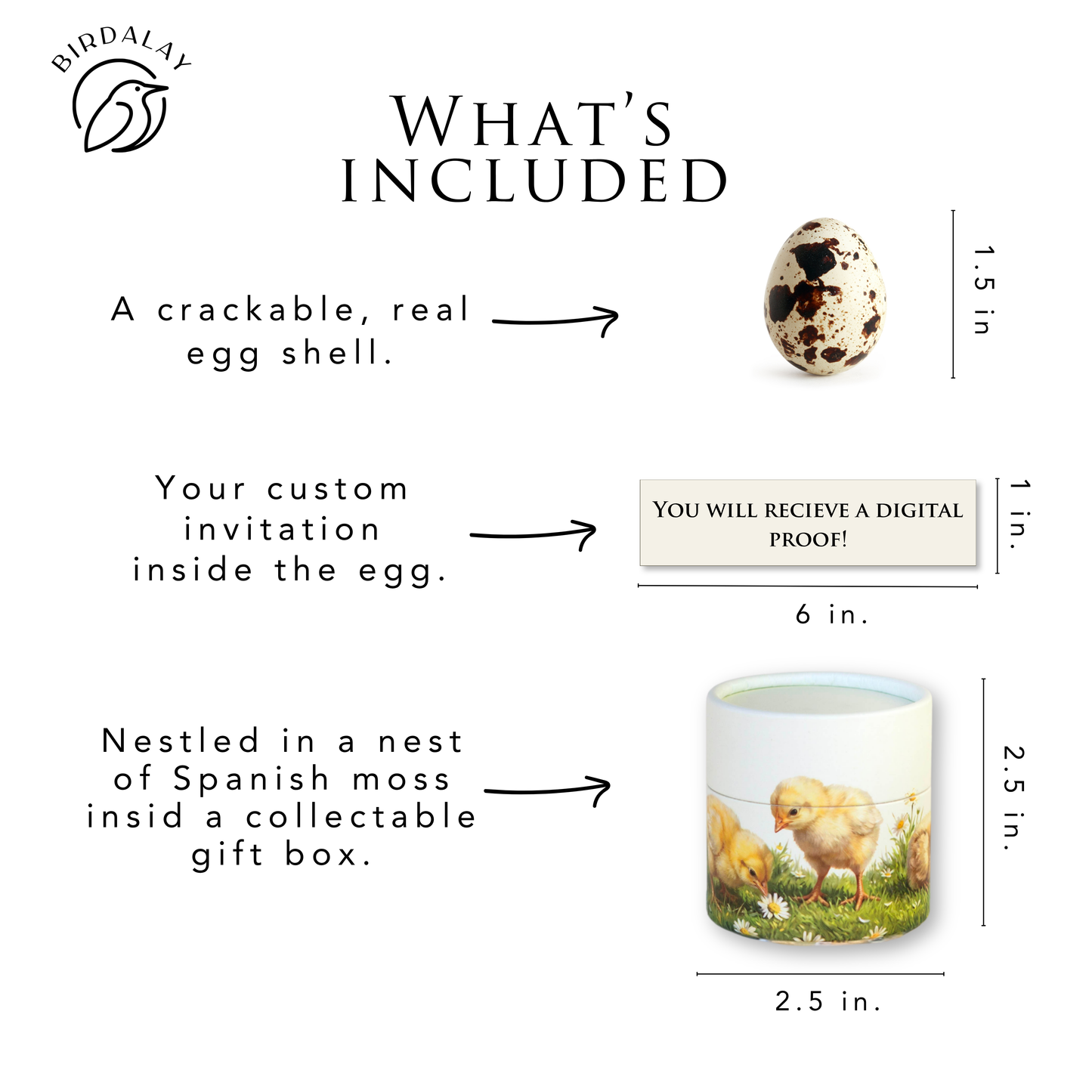 Chick Bridal Shower Invitations