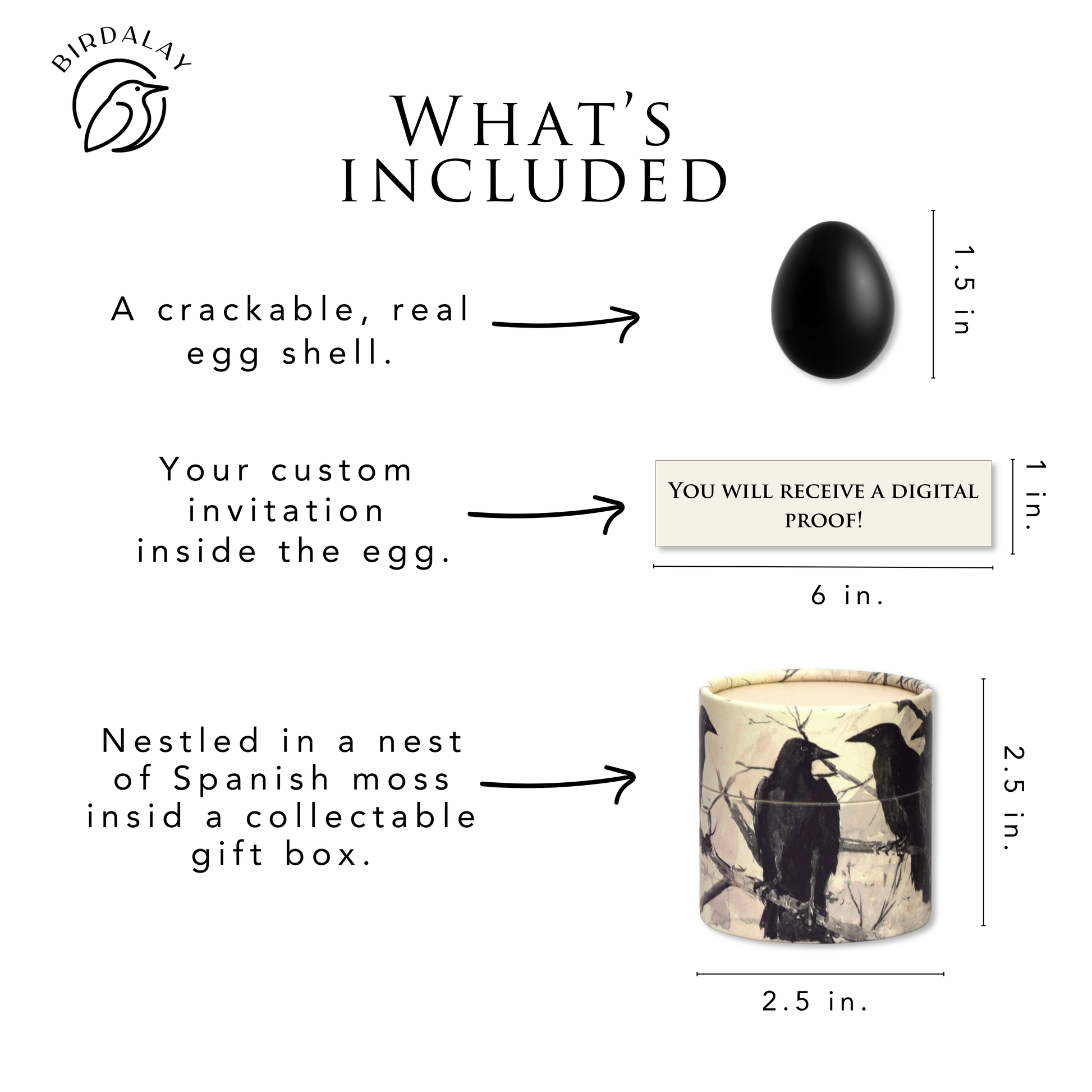 An informational product graphic on a white background titled 'WHAT'S INCLUDED' with the Birdaloy logo. It shows a black egg shell, a 6-inch digital proof invitation, and a printed cylindrical collectible box with crows, including dimensions for each item.