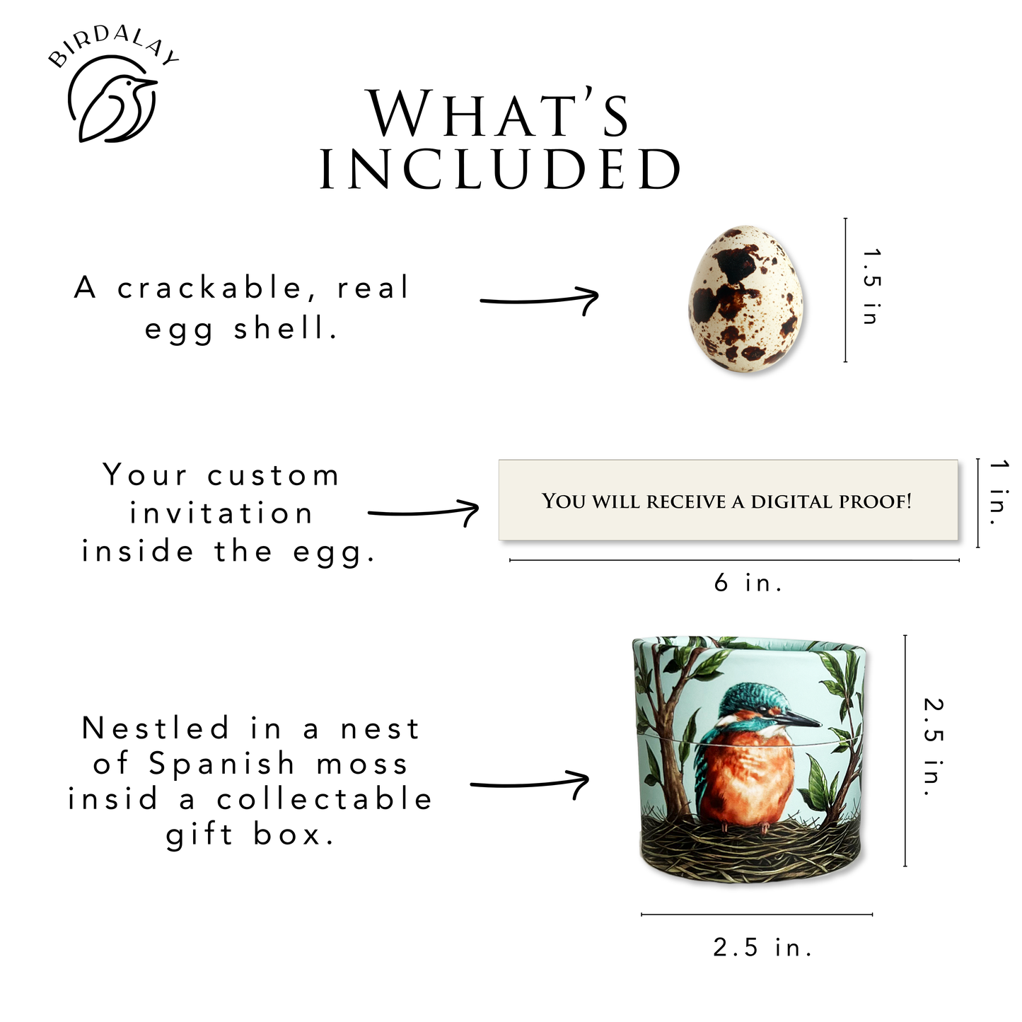 An example image of what is included in each order. A real, crackable quail egg shell. A custom invitation note rolled up inside the egg. A collectable gift box with a cute kingfisher bird design on it and a nest of spanish moss within. 