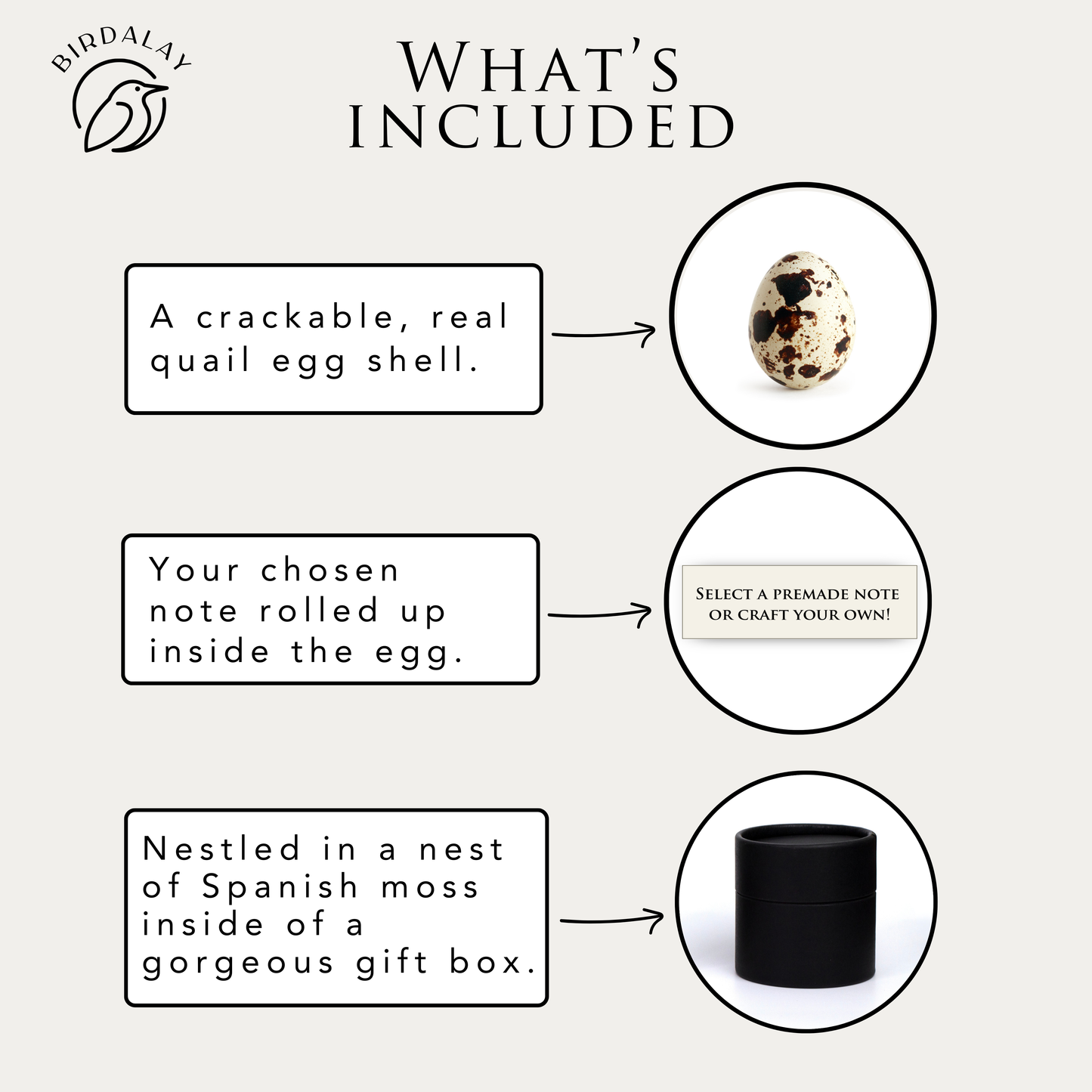 Classic Black Father's Day Egg Card