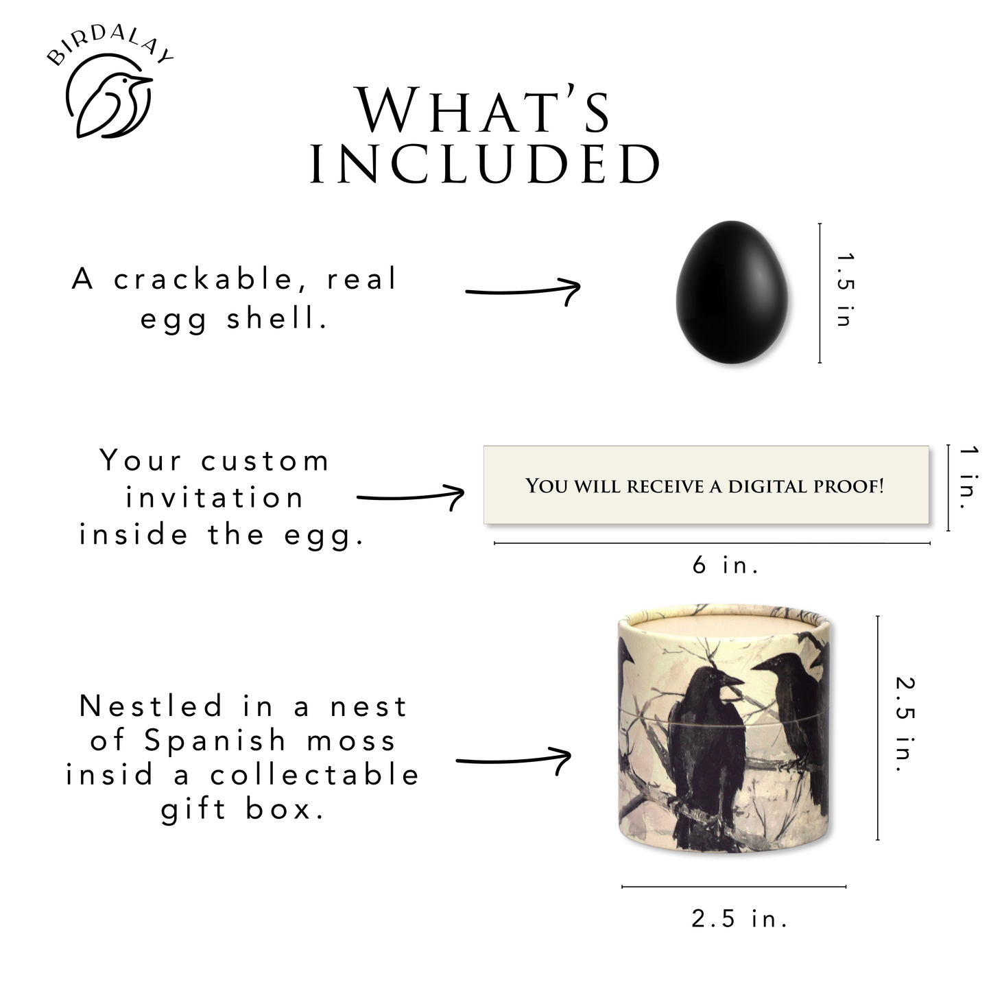 A page titled, What's included depicting a black "raven" egg shell, a custom wedding invitation that comes hidden inside of it, and a custom raven themed gift box with a spanish moss nest inside of it. 