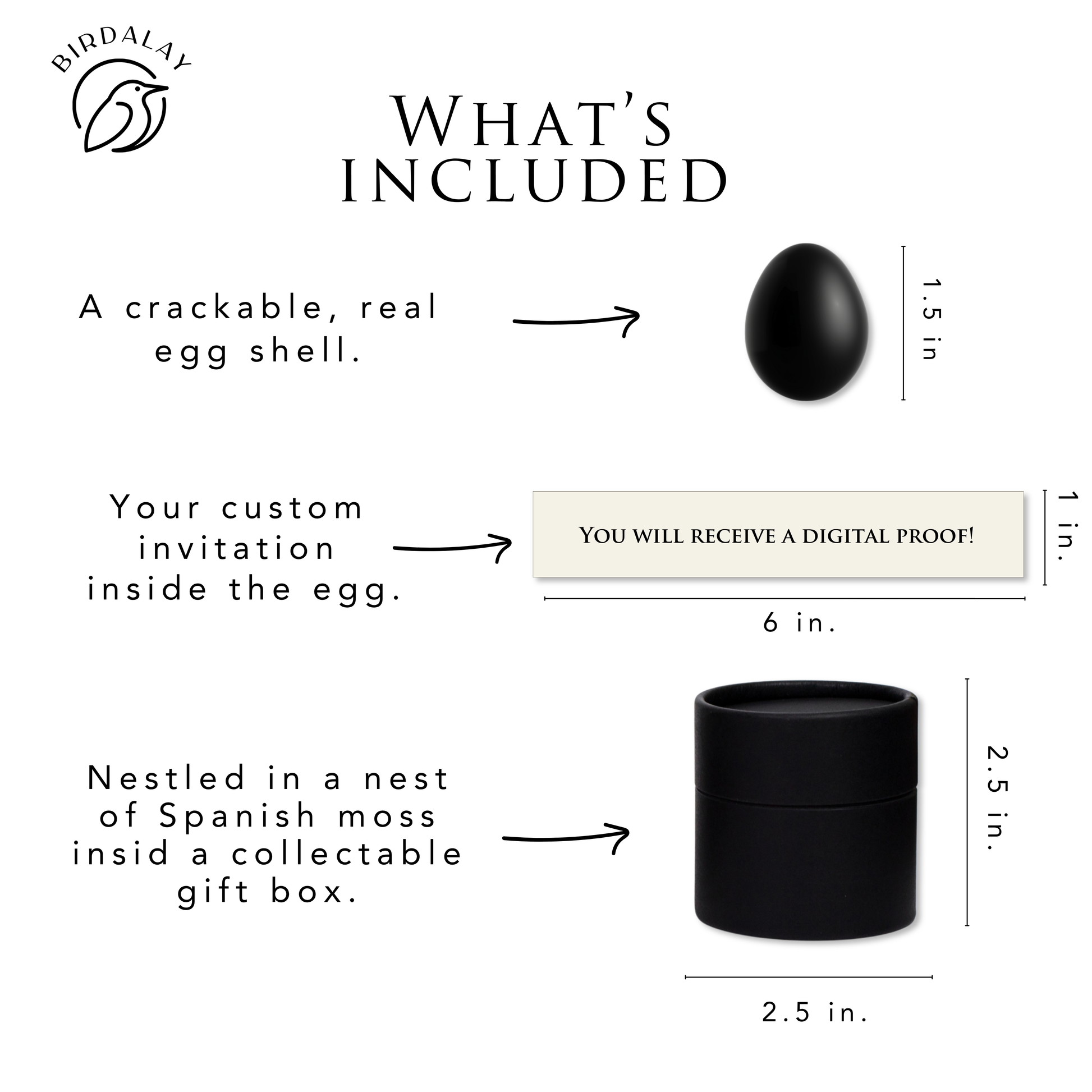 An informational product graphic on a white background titled 'WHAT'S INCLUDED' from Birdaloy, showing a black egg shell, an invitation note, and a black cylindrical gift box with dimensions. Text describes what is included and measurements are shown next to each item.