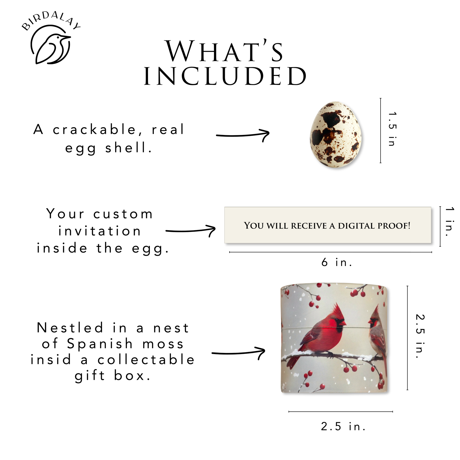 An informational product graphic titled 'WHAT'S INCLUDED' showing a quail egg, a 1 inch by 6-inch custom invitation note, and a collectable gift box with cardinal artwork and a Spanish moss nest for the egg to go in. 