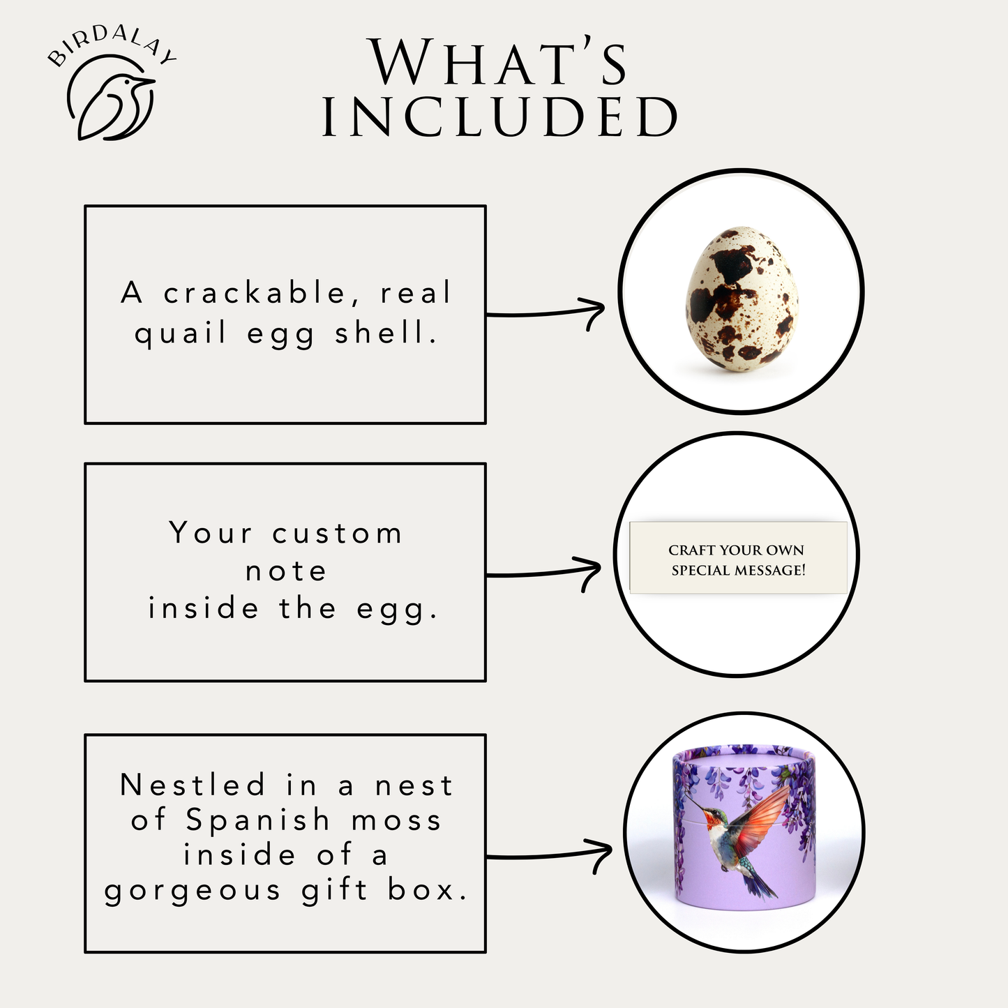 Hummingbird Anniversary Egg Card