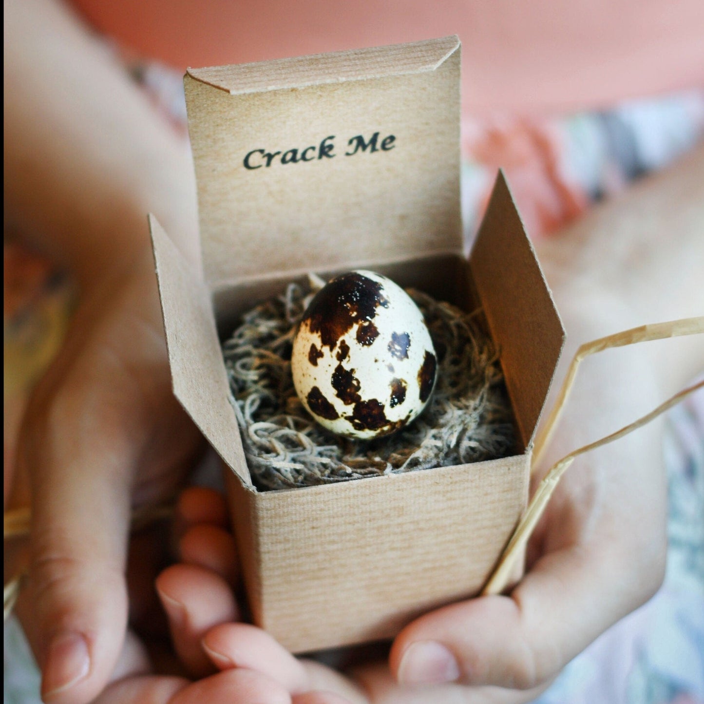 Summer Pregnancy Announcement - Gender Reveal - Baby Announcement - Grandparent Announcement - Custom Pregnancy Announcement -Quail Egg Gift